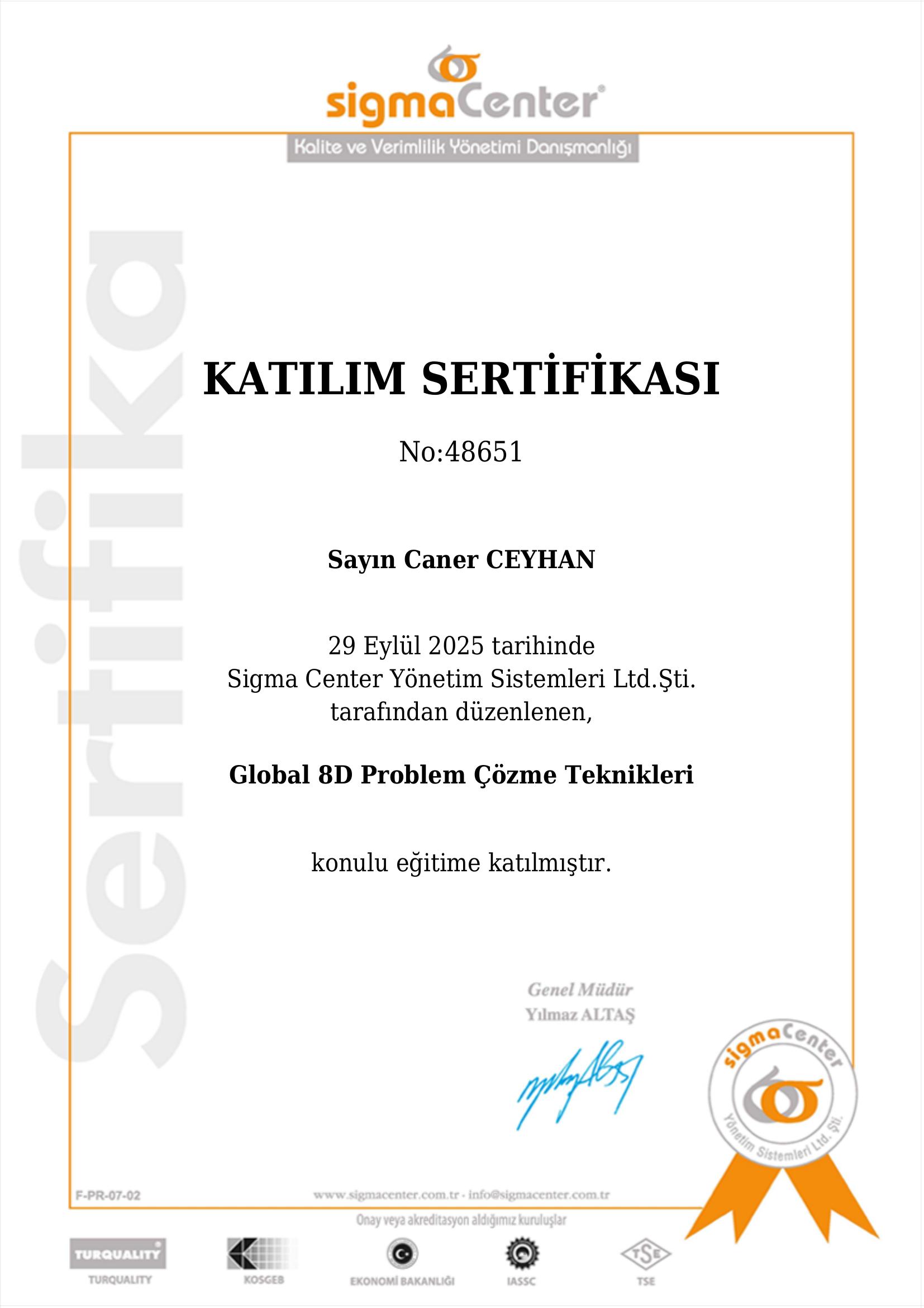 Global 8D Problem Çözme Teknikleri